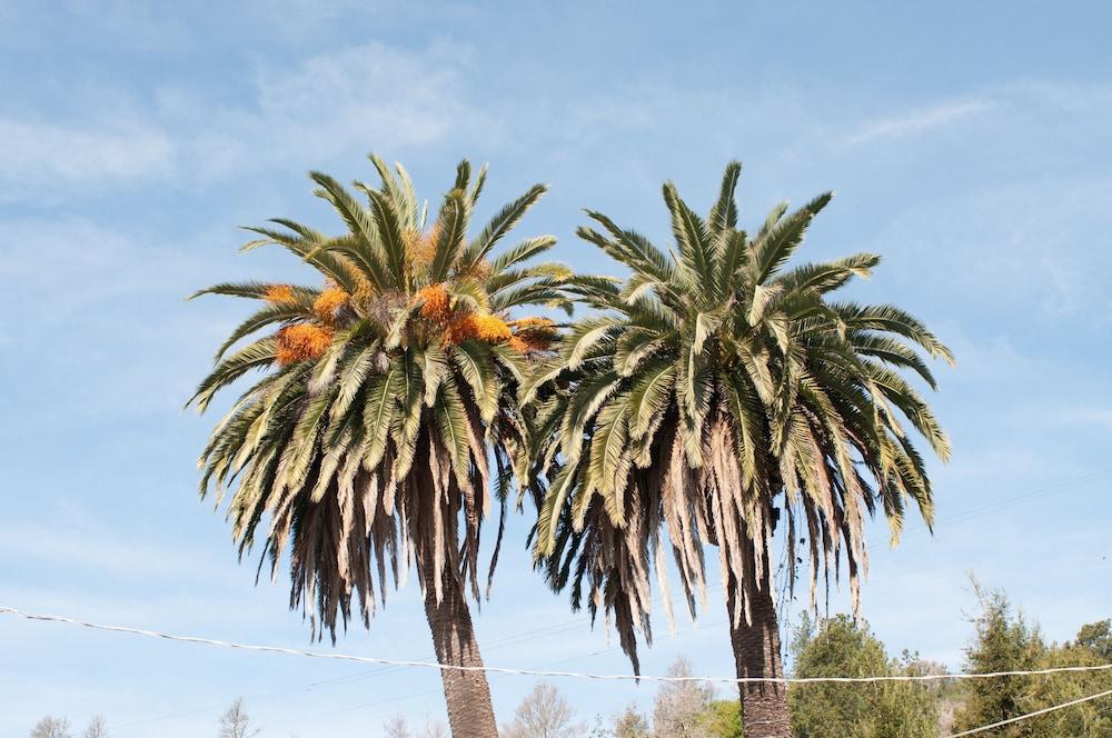 Cambria Palms Motel Luaran gambar
