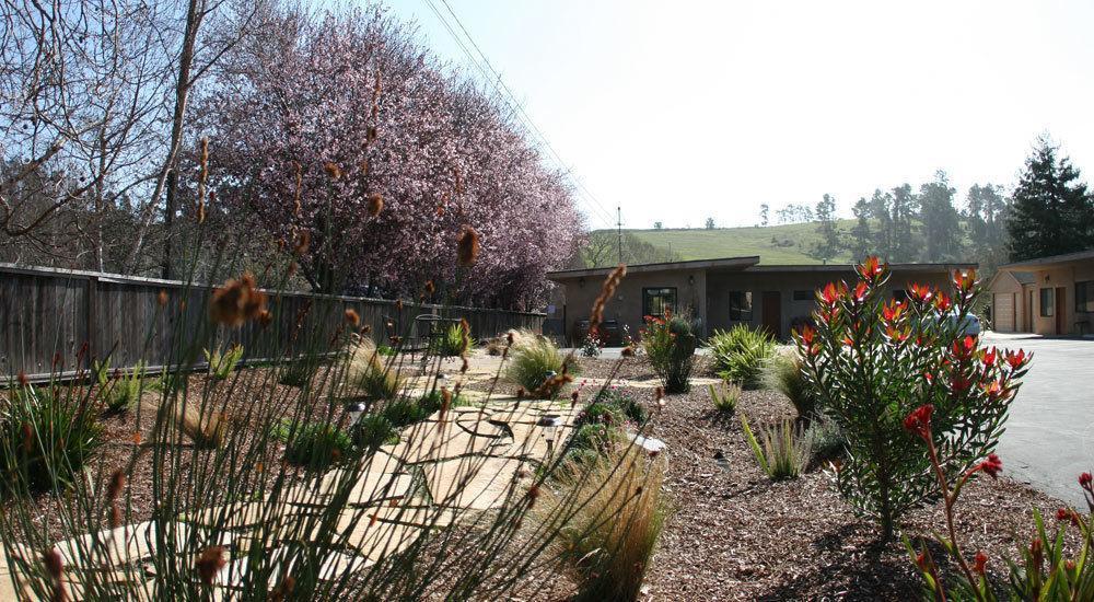 Cambria Palms Motel Luaran gambar