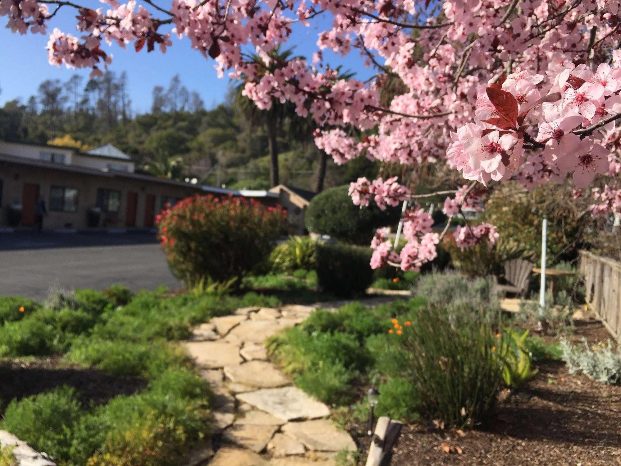 Cambria Palms Motel Luaran gambar