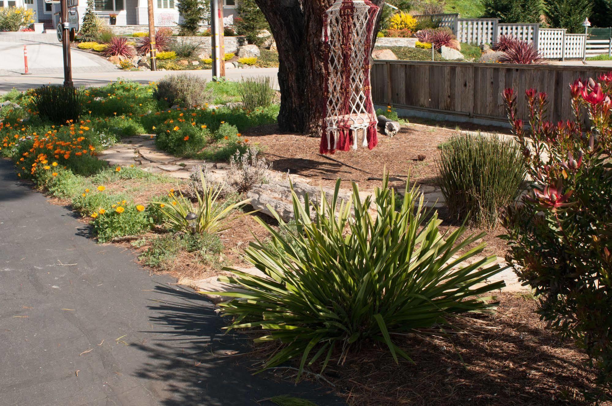 Cambria Palms Motel Luaran gambar